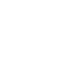 WordPress Experts